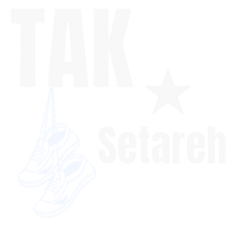 لوگو فروشگاه کفش تک ستاره